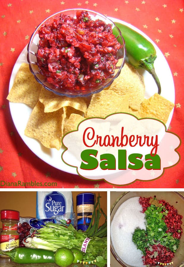 collage of cranberry salsa photos