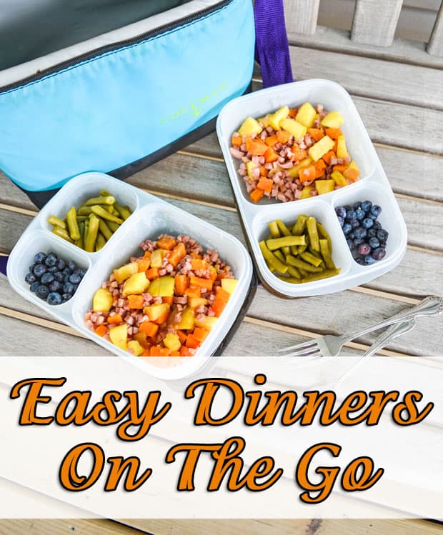 Easy Dinners To Go with Easy Lunchboxes - Busy driving your kids around to activities? Check out these simple prepared meals to go suggestions. Portable dinners make a busy mom's life easier!