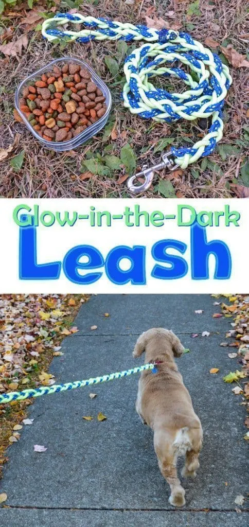 collage of glow-in-the-dark leash