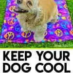 DIY Dog Cooling Mat Sewing Tutorial - Want to keep your dog cooled off this summer? Here is a DIY Dog Cooling Mat Tutorial that will keep your pooch cool while he's outside with the family. It's a great pet bed for warm weather climates. It's easy to make and only requires basic sewing skills. Custom mats are for sale if you are unable to sew.