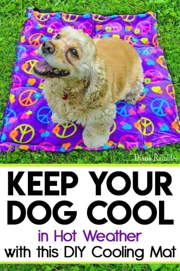 DIY Dog Cooling Mat Sewing Tutorial - Want to keep your dog cooled off this summer? Here is a DIY Dog Cooling Mat Tutorial that will keep your pooch cool while he's outside with the family. It's great pet bed for warm weather climates. It's easy to make and only requires basic sewing skills. Custom mats are for sale if you are unable to sew.