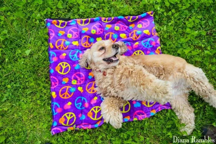 DIY Dog Cooling Mat