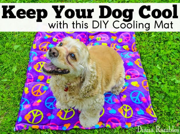 diy cooling dog bed