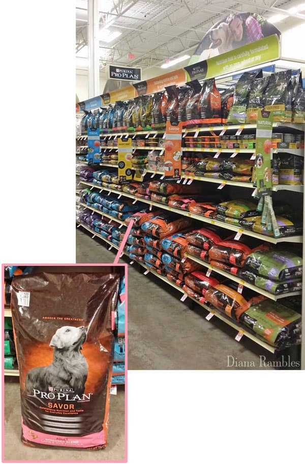 DIY Dog Cooling Mat Tutorial Keep Your Dog Cooled Off in Hot Weather