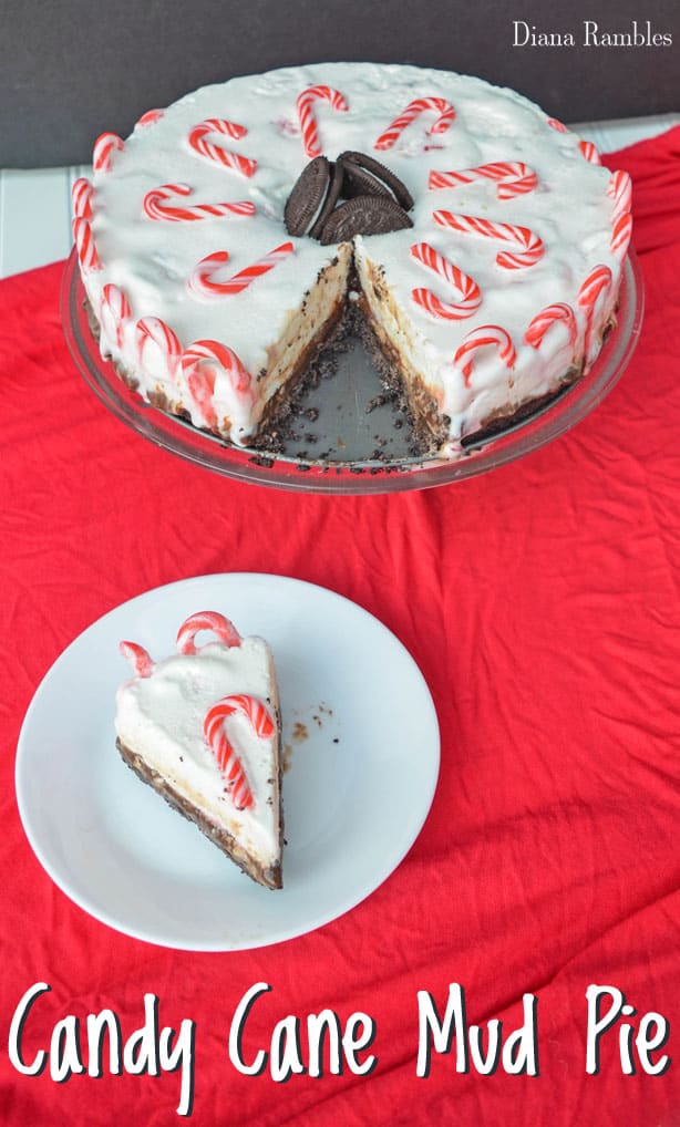 Candy Cane Mud Pie - Create this frozen rich combination of peppermint candy canes and chocolate fudge.