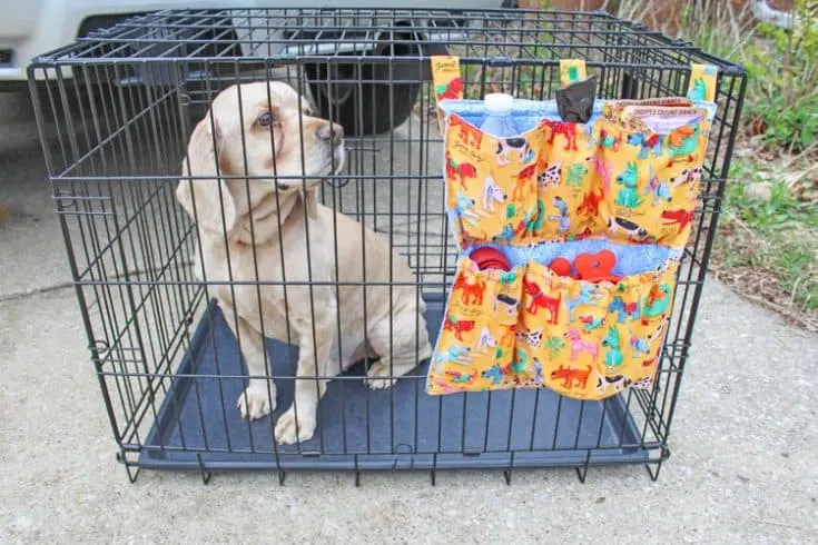 DIY Dog Crate Organizer