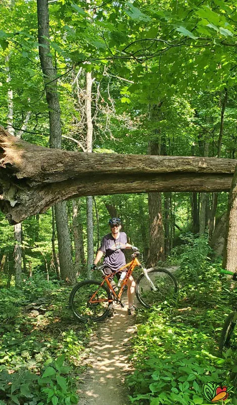 woman standing under an elevated fallen tree on a mountain bike trail