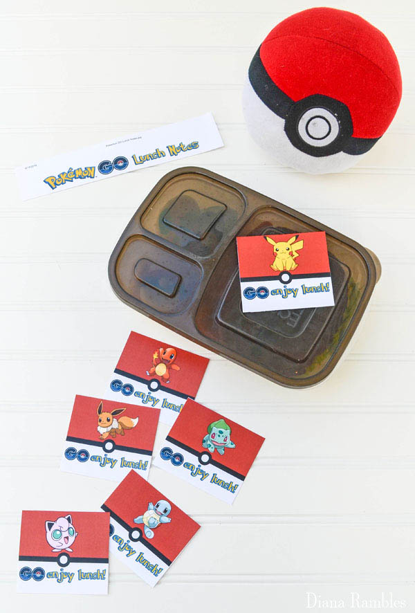 a lunchbox, a plush Pokeball, and some lunchnotes
