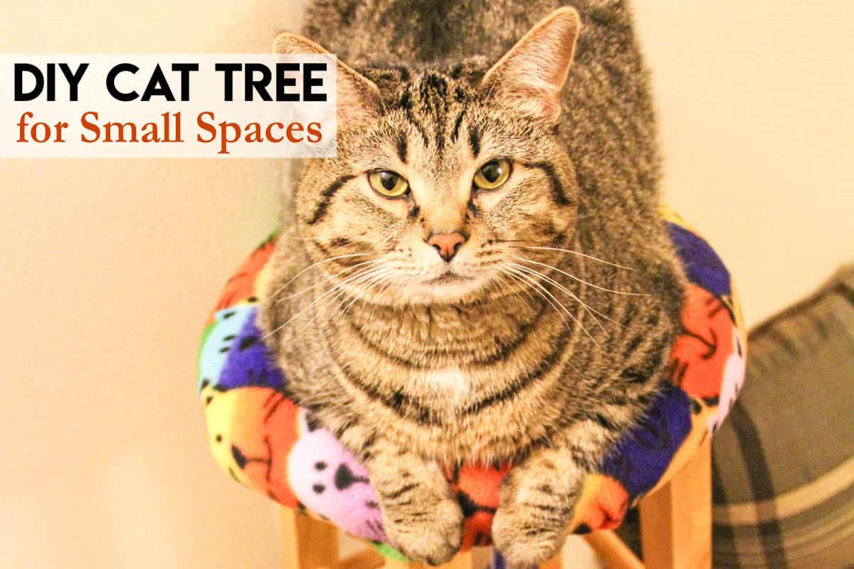 DIY Cat Tree for Small Spaces made from a Stool