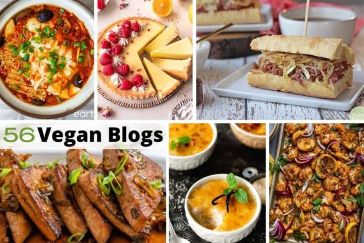 56 Vegan Blogs You Should Visit Diana Rambles