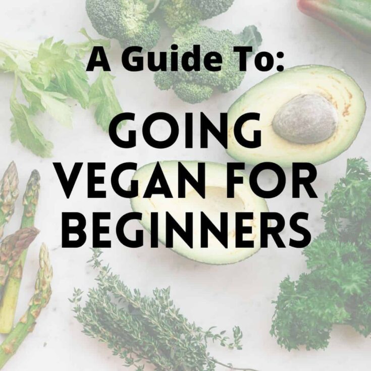 Going Vegan for Beginners