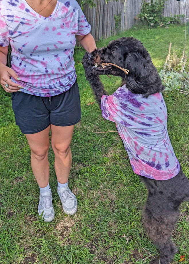 woman and dog in matching tie-dye shirts