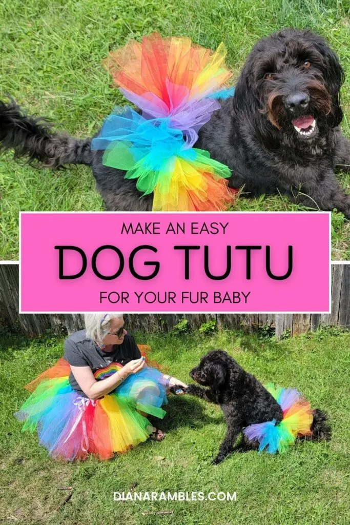 dog and woman in matching rainbow tutus